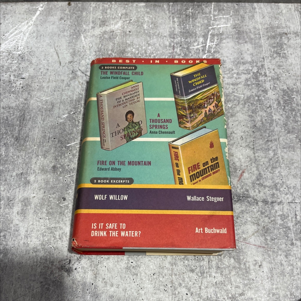 the windfall child book, by louise field cooper, 1962 Hardcover image 1