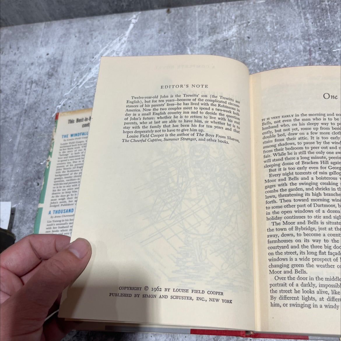 the windfall child book, by louise field cooper, 1962 Hardcover image 3