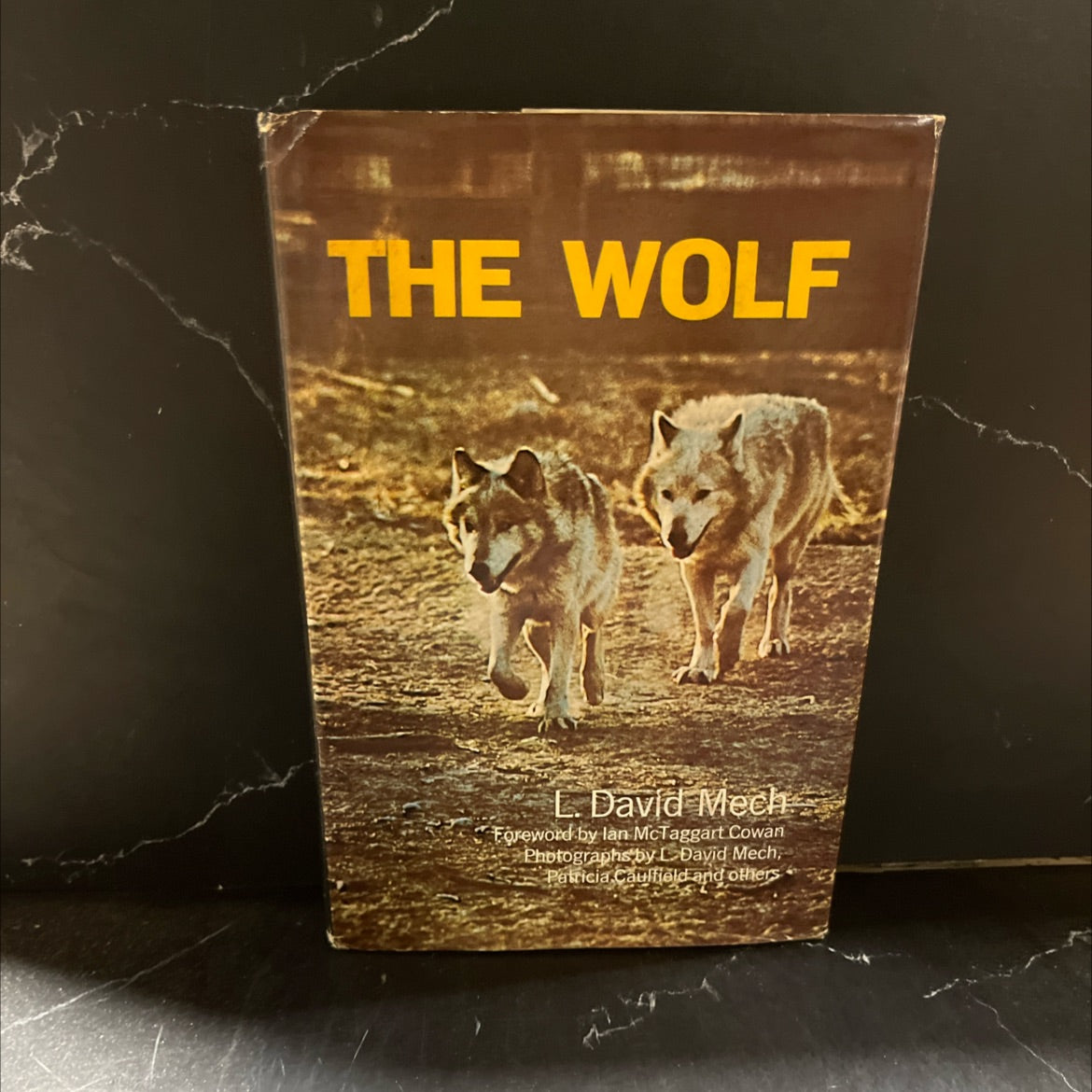 the wolf: the ecology and behavior of an endangered species book, by l. david mech, 1970 Hardcover image 1