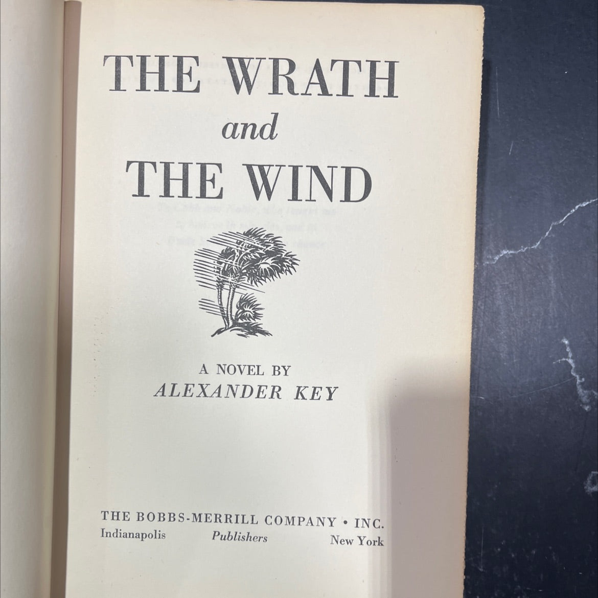 the wrath and the wind book, by alexander key, 1949 Hardcover image 2