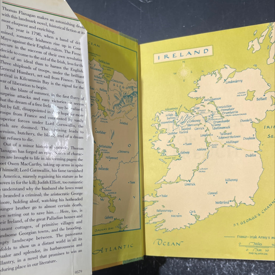 the year of the french book, by Thomas Flanagan, 1979 Hardcover image 4