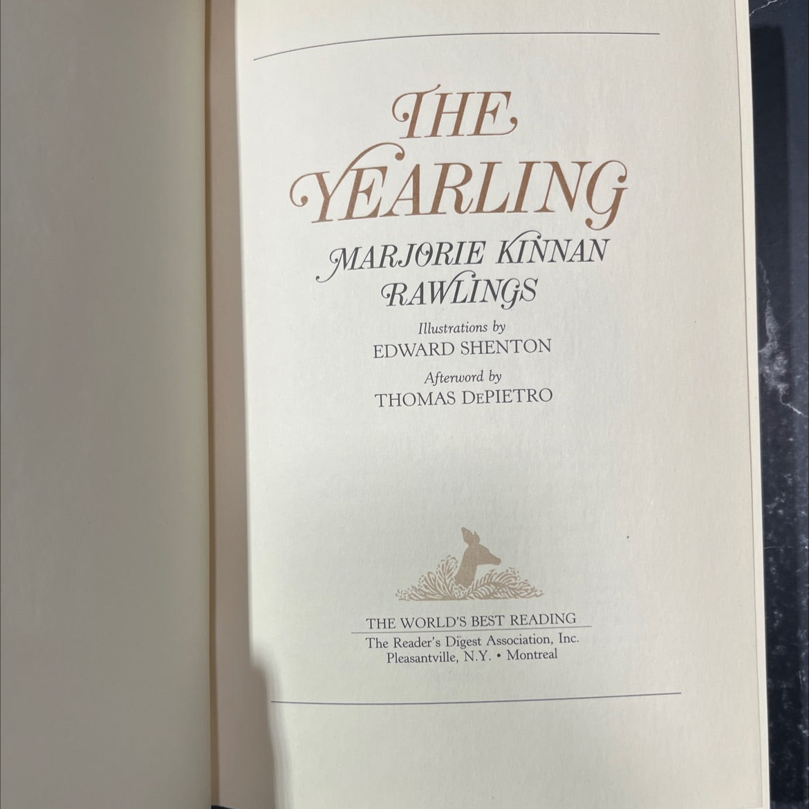 the yearling book, by marjorie kinnan rawlings, 1993 Hardcover image 2