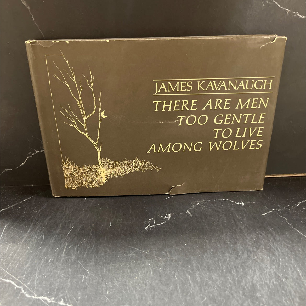 there are men too gentle to live among wolves book, by james kavanaugh, 1970 Hardcover image 1