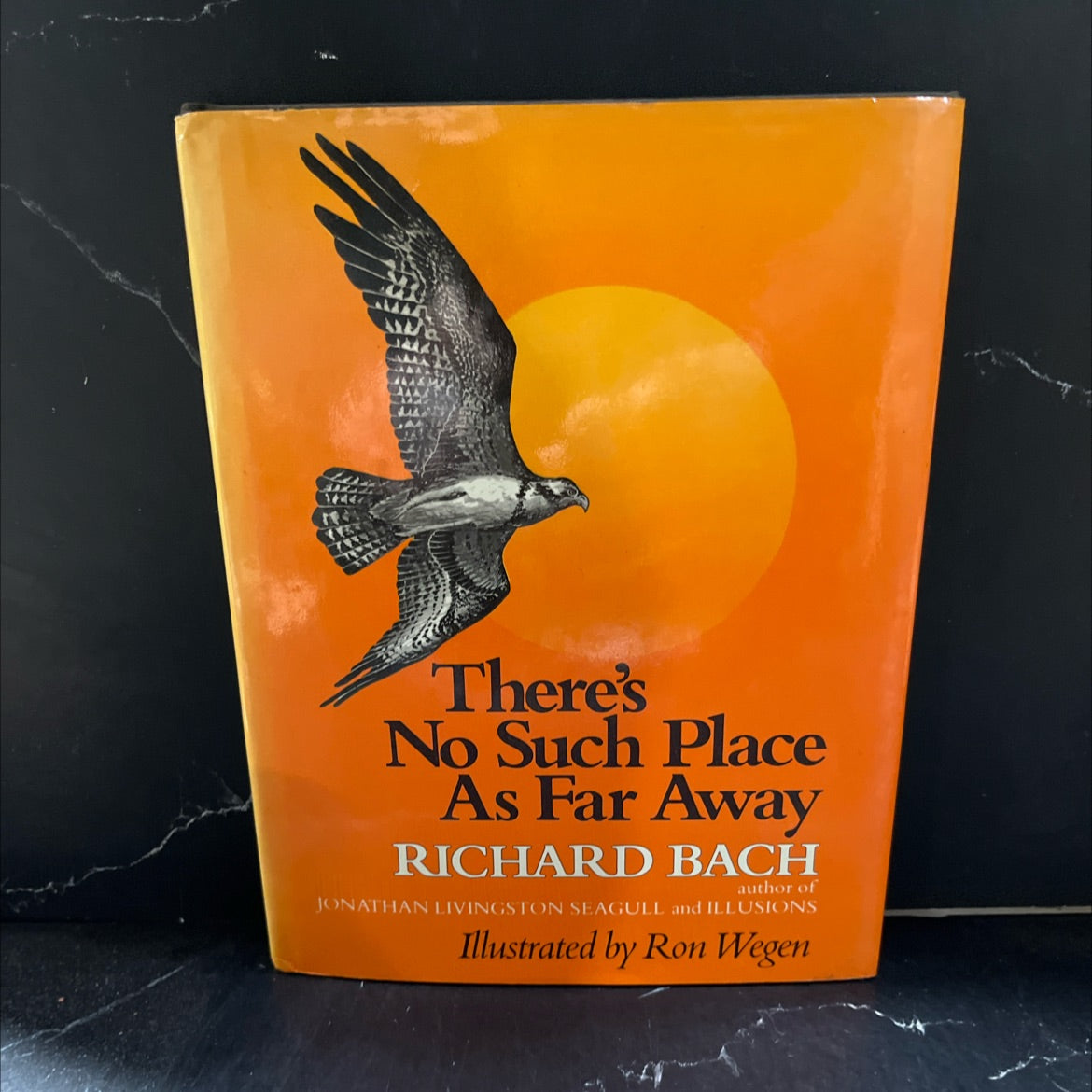 there's no such place as far away book, by Richard Bach, 1979 Hardcover image 1