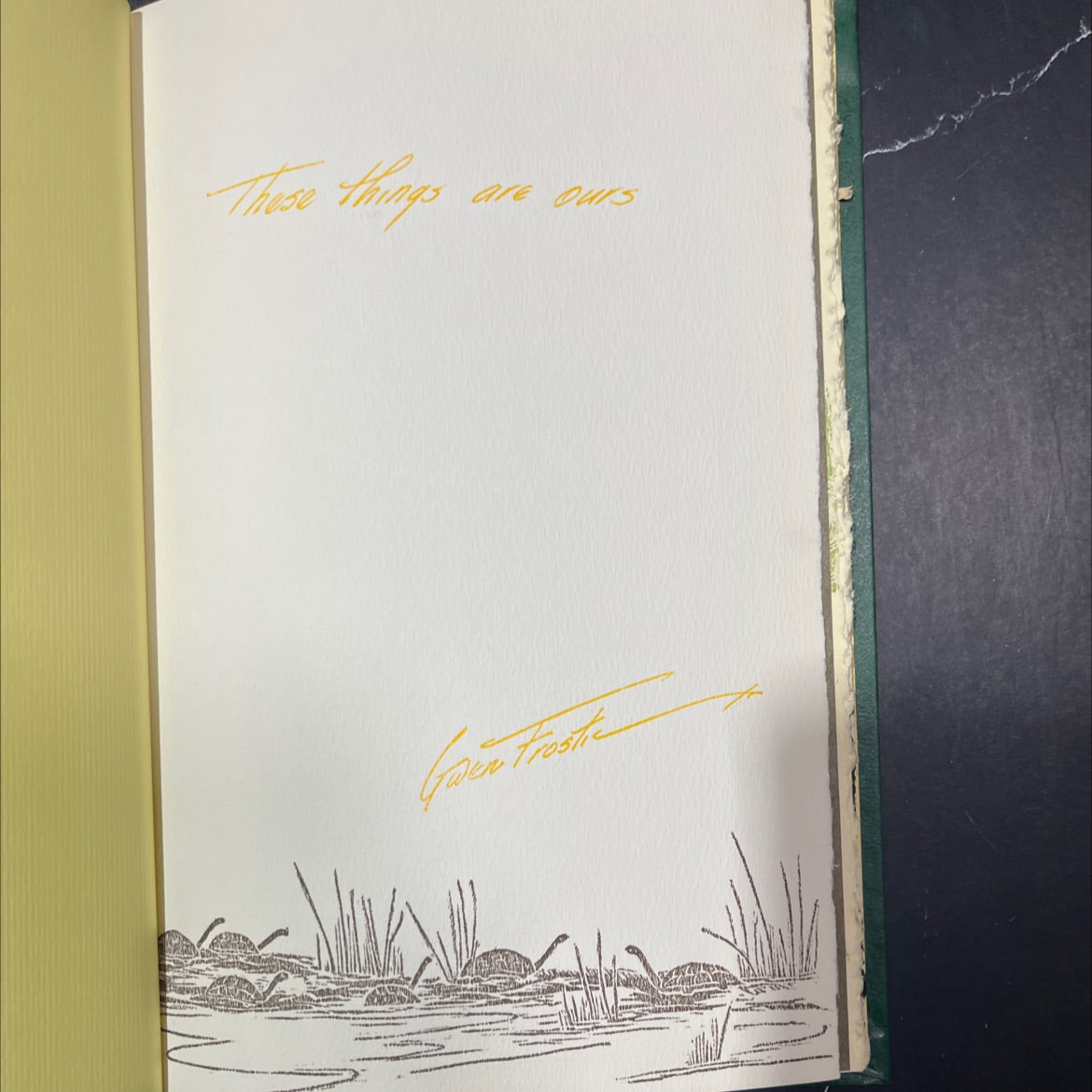 these things are ours guen book, by frostre, 1960 Hardcover image 2