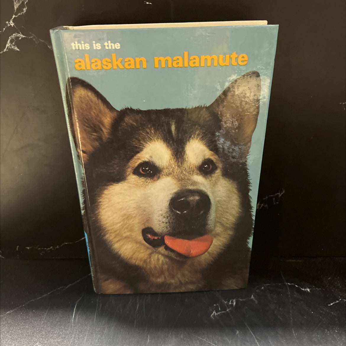 this alaskan is the malamute book, by joan mcdonald brearley, 1975 Hardcover image 1