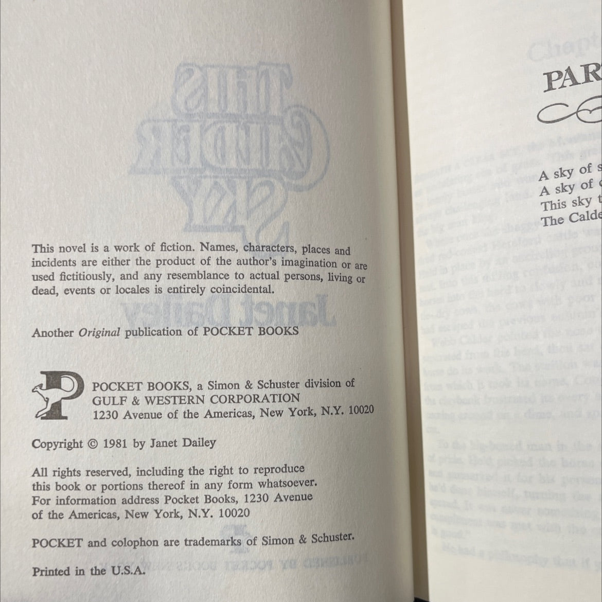 this calder sky book, by janet dailey, 2008 Hardcover image 3