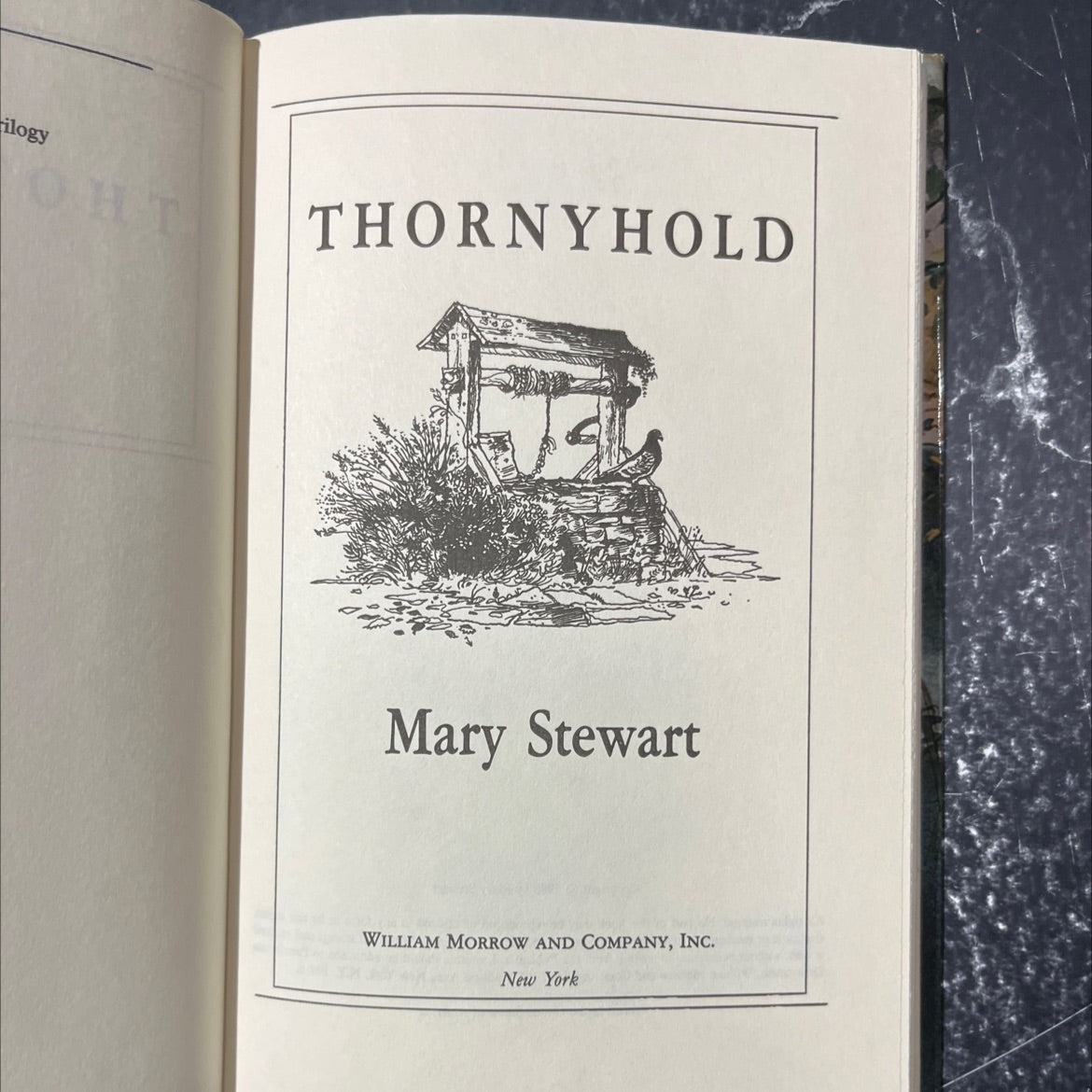 thornyhold book, by mary stewart, 1988 Hardcover image 2