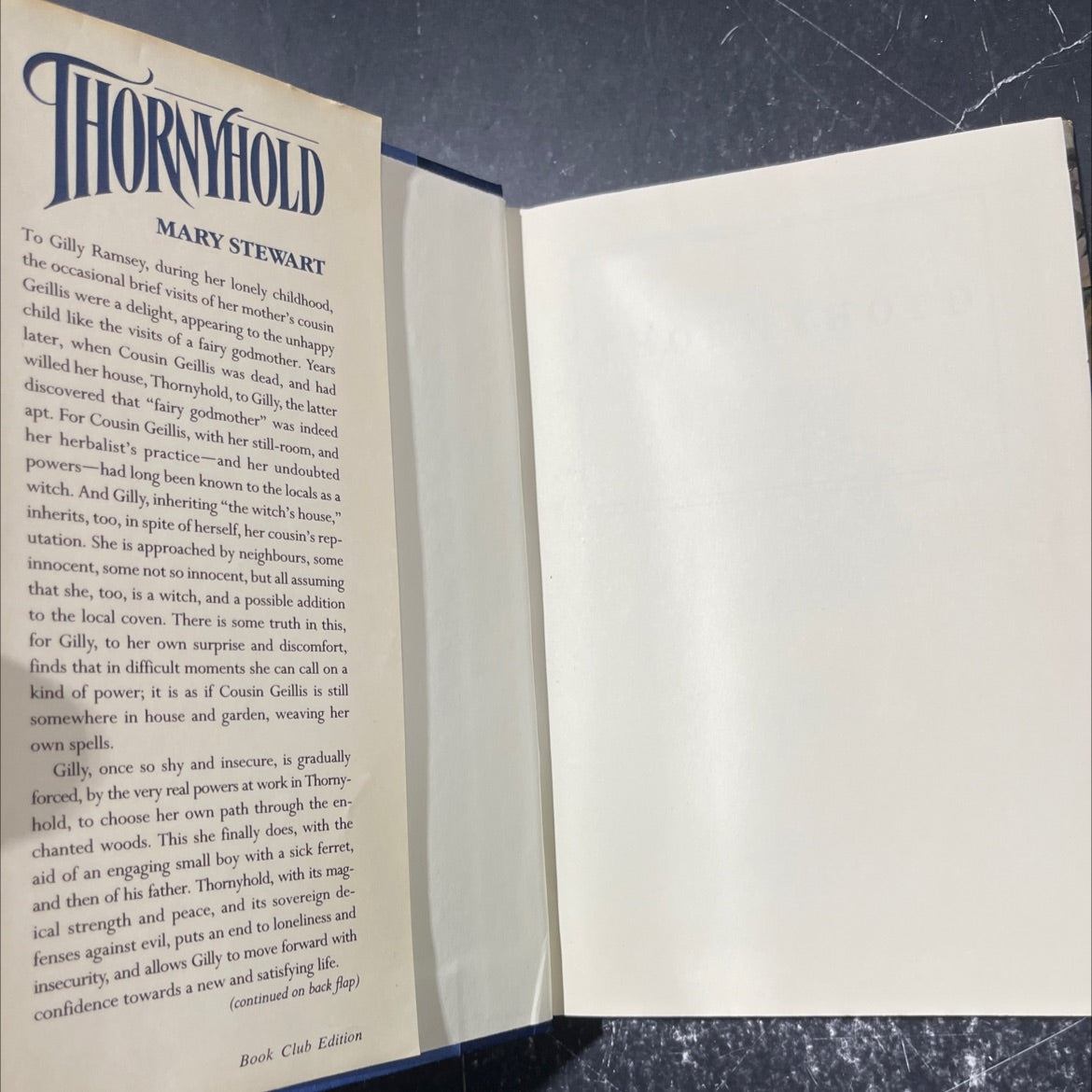 thornyhold book, by mary stewart, 1988 Hardcover image 4