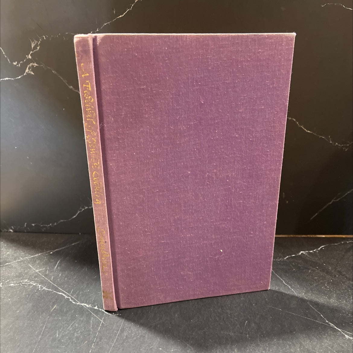 thou, god, universe, forth the book, by Carole Lowenstein, 1971 Hardcover image 1