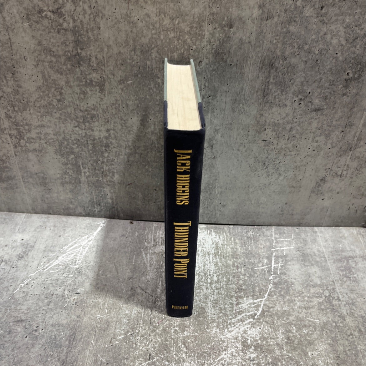 thunder point book, by jack higgins, 1993 Hardcover image 4