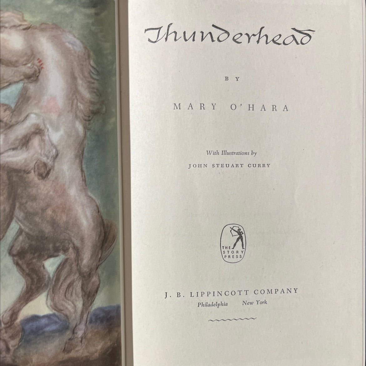 thunderhead book, by mary o'hara, 1943 Hardcover image 2