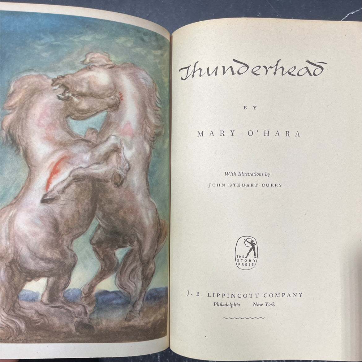 thunderhead book, by mary o'hara, 1943 Hardcover image 2