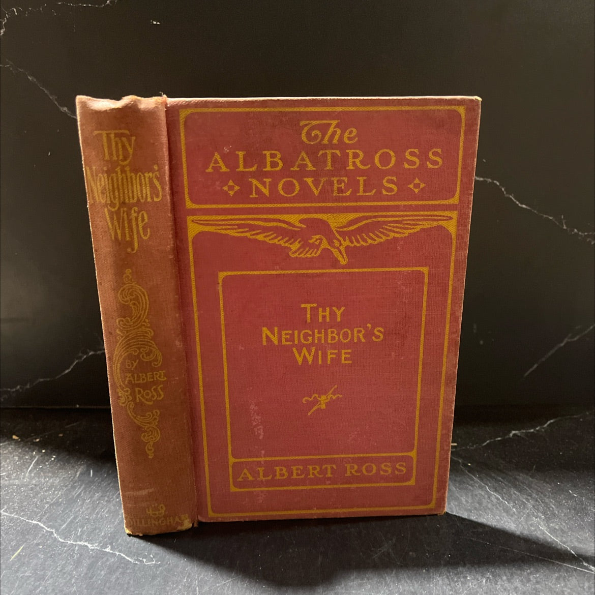 thy neighbor's wife book, by albert ross, 1898 Hardcover image 1