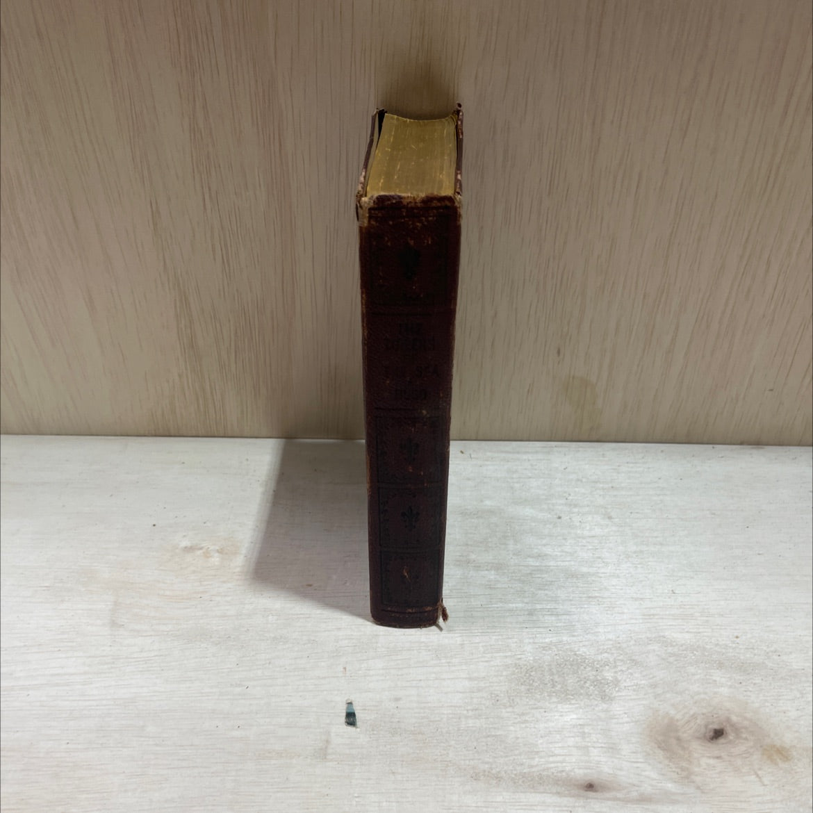 toilors the sea book, by victor hugo, 1930 Hardcover image 4