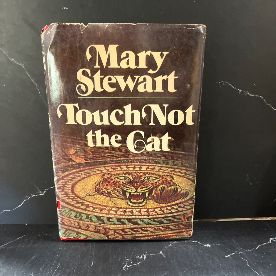 touch not the cat book, by mary stewart, 1976 Hardcover image 1