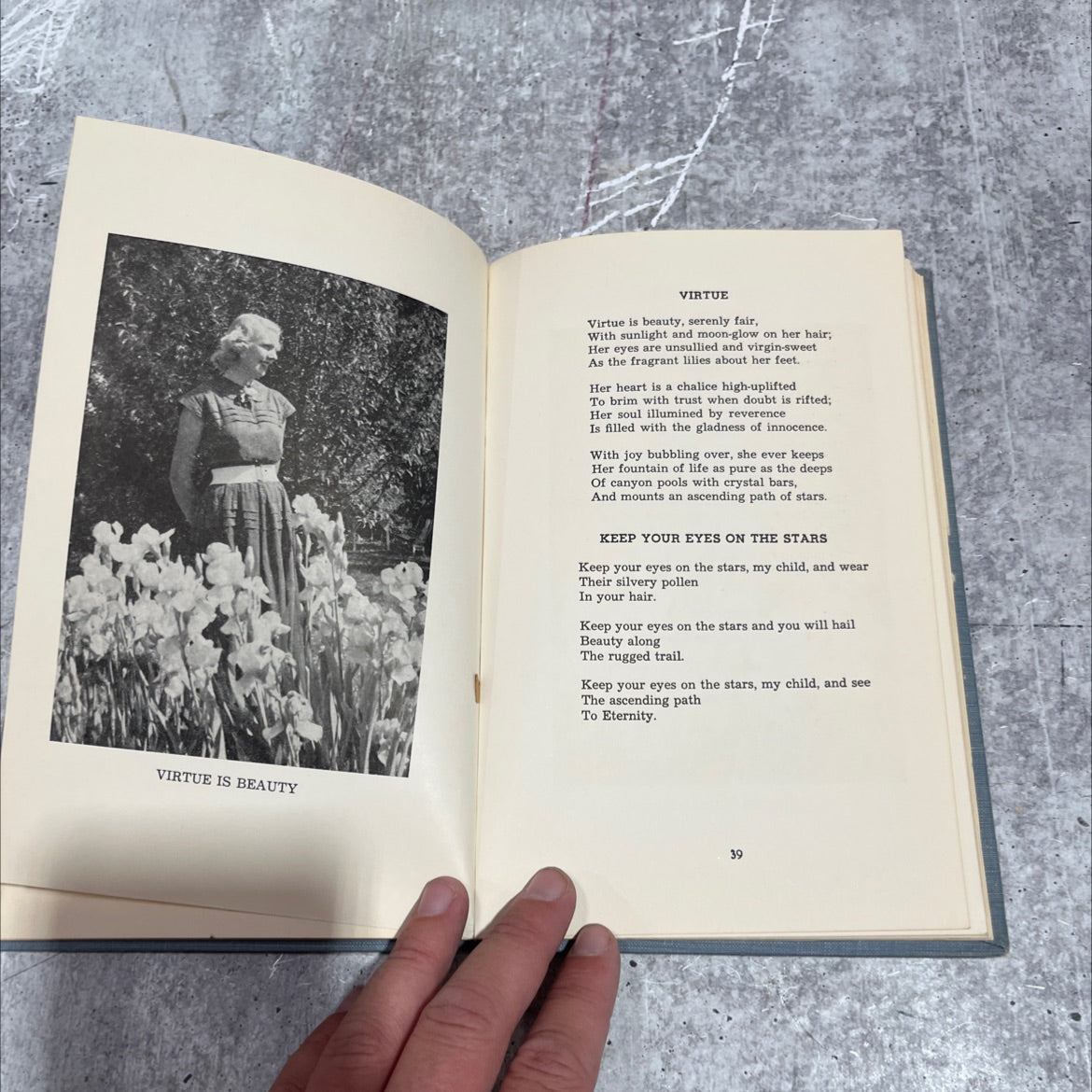 touch of wings book, by Mabel Law Atkinson, 1956 Hardcover image 4