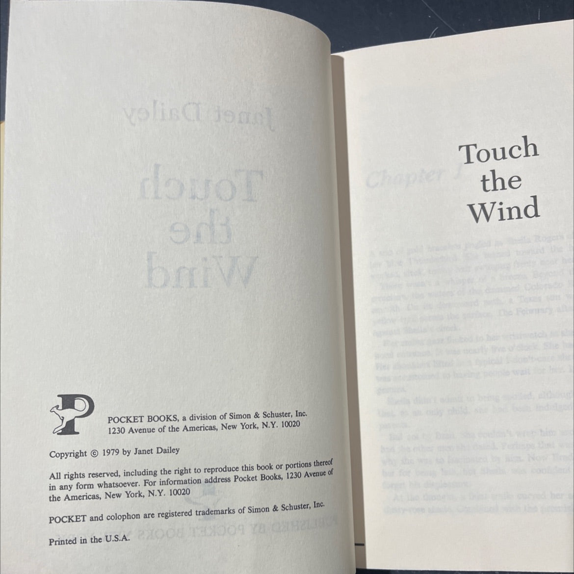 touch the wind book, by Janet Dailey, 1979 Hardcover image 3