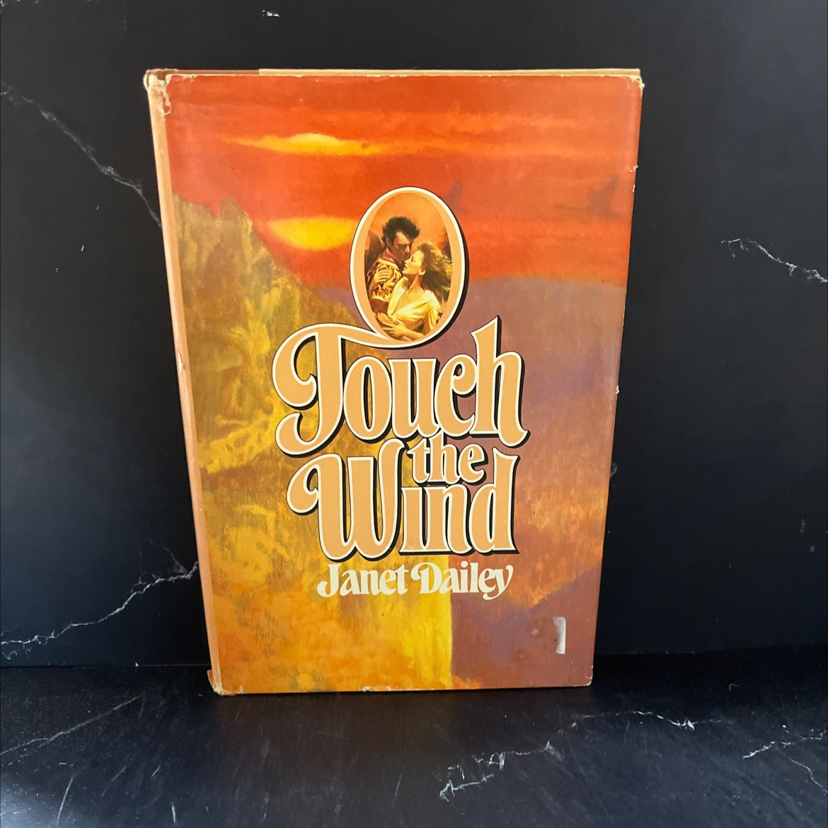 touch the wind book, by Janet Dailey, 1979 Hardcover image 1