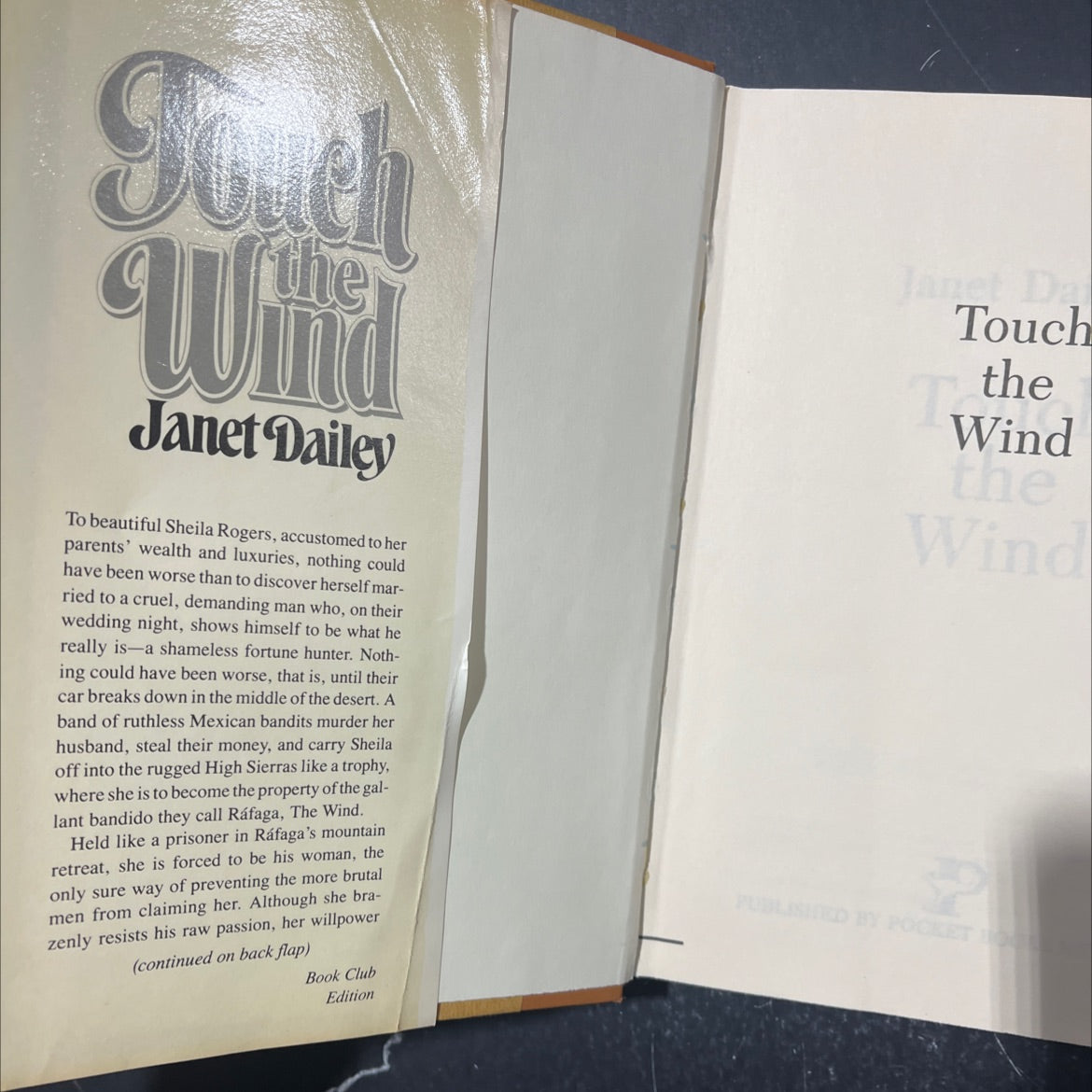 touch the wind book, by Janet Dailey, 1979 Hardcover image 4