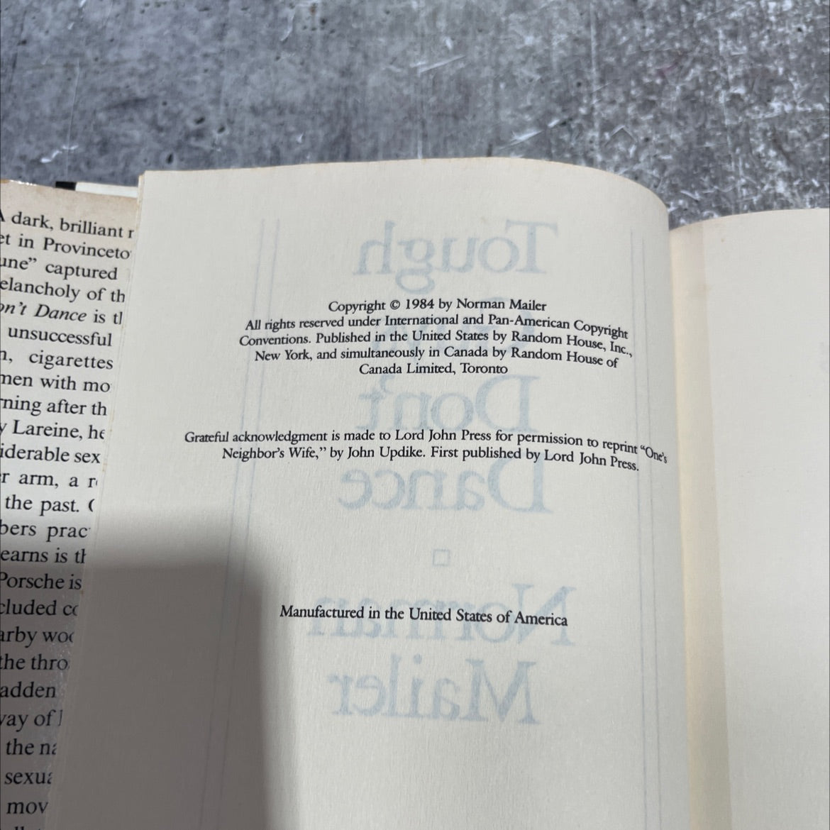 tough guys don't dance book, by norman mailer, 1984 Hardcover image 3