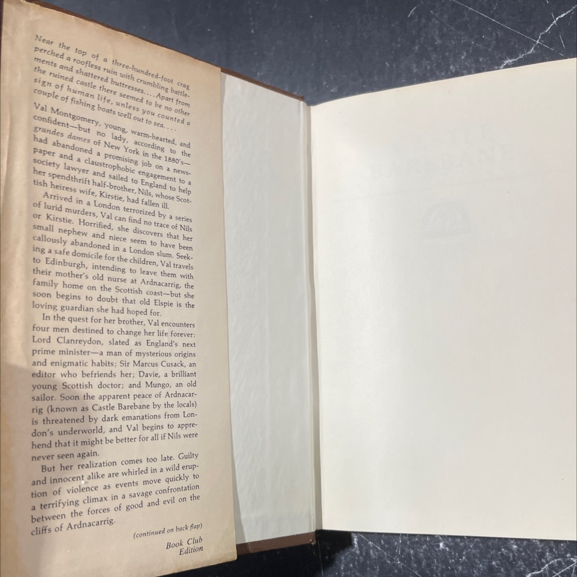 trad castle barebane book, by joan aiken, 1976 Hardcover image 4