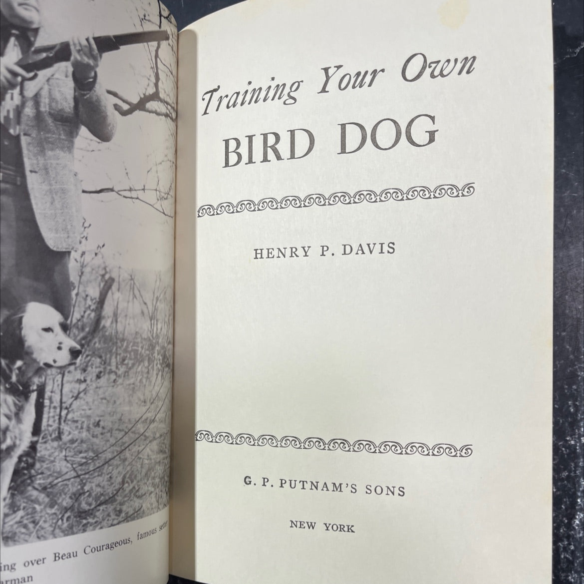 training your own bird dog book, by henry p. davis, 1948 Hardcover image 2