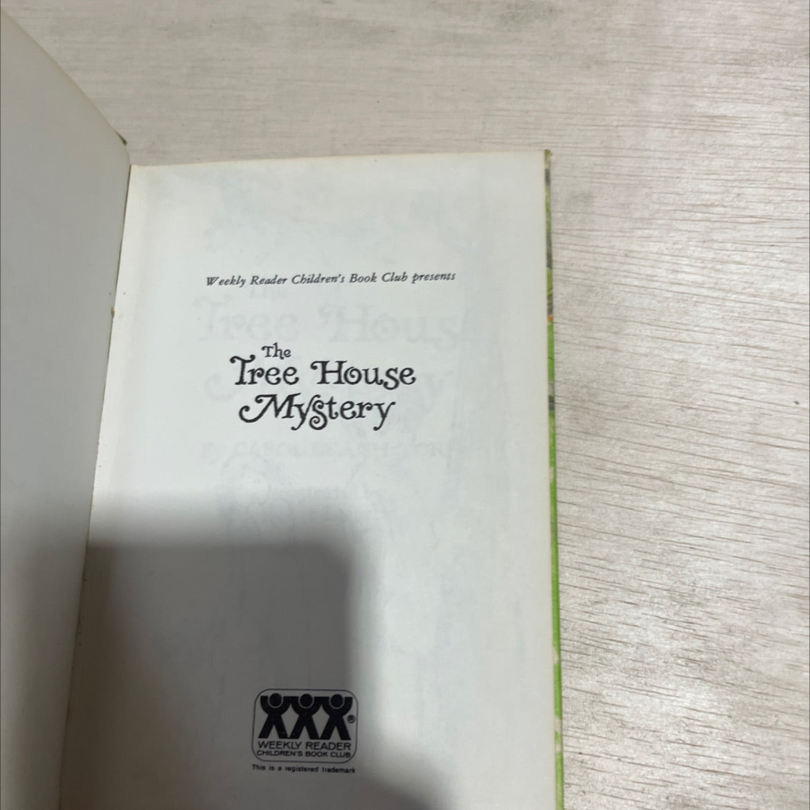 tre the he tree house mystery book, by Carol Beach York, 1973 Hardcover image 2