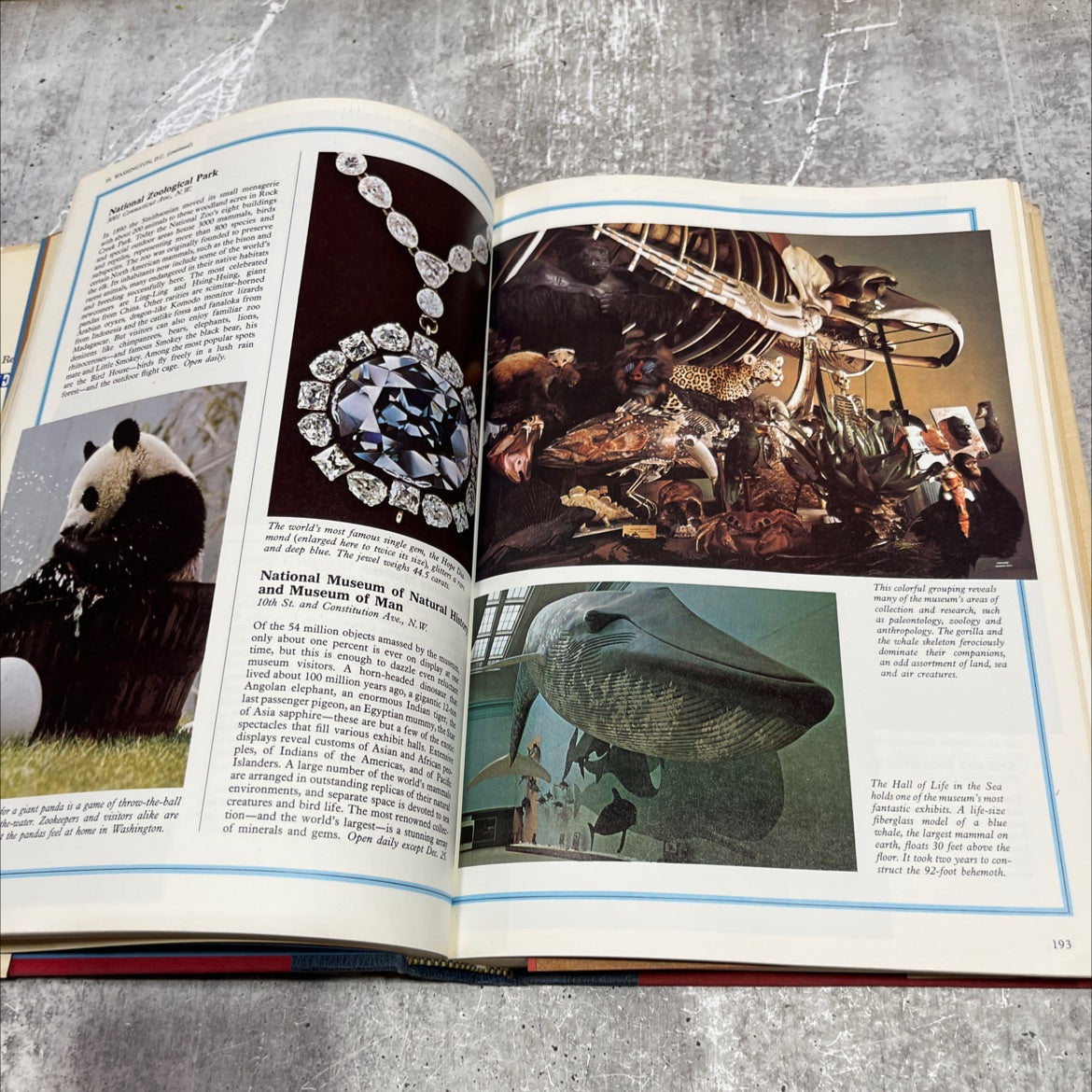 treasures of america book, by unknown, 1974 Hardcover image 4