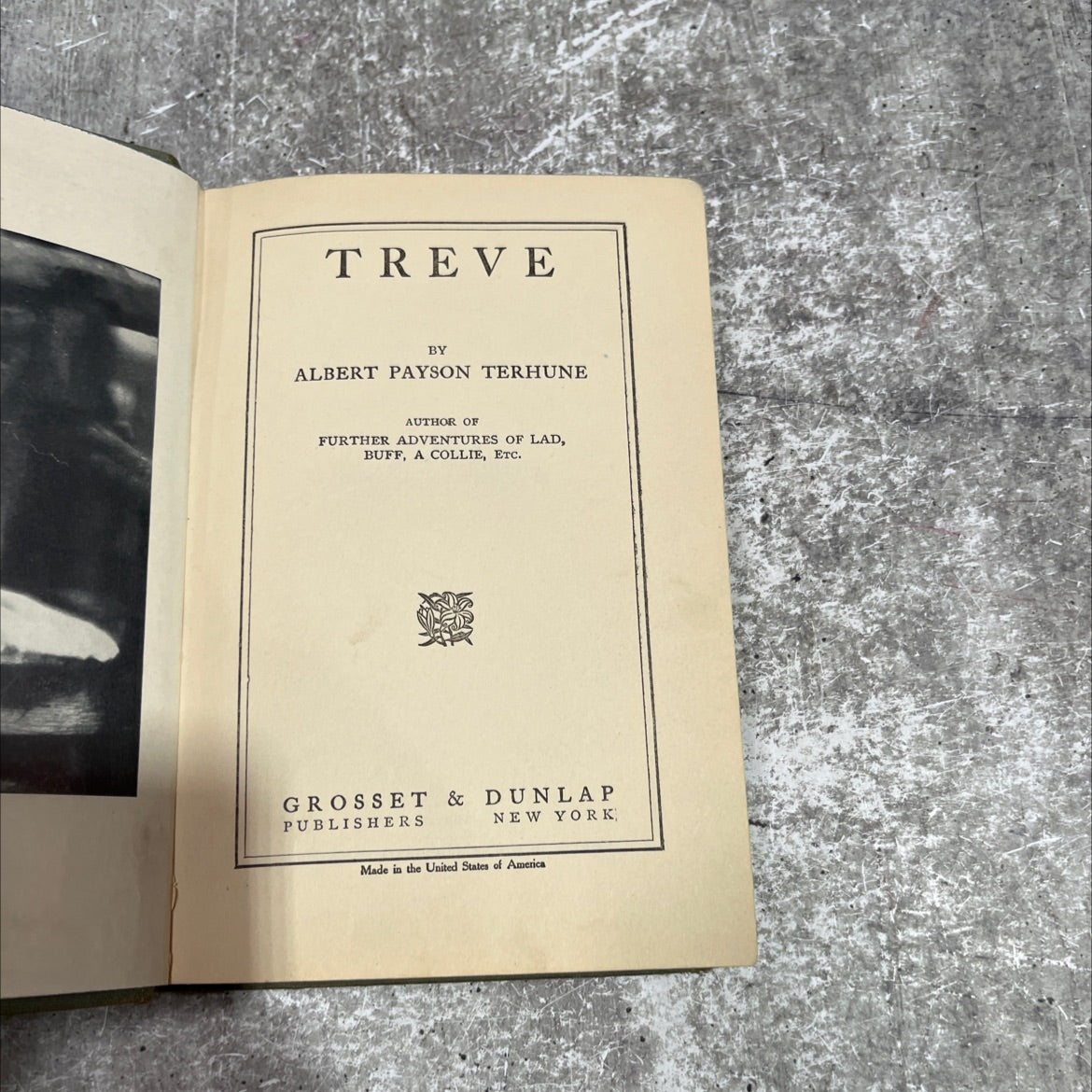 treve book, by albert payson terhune, 1924 Hardcover image 2