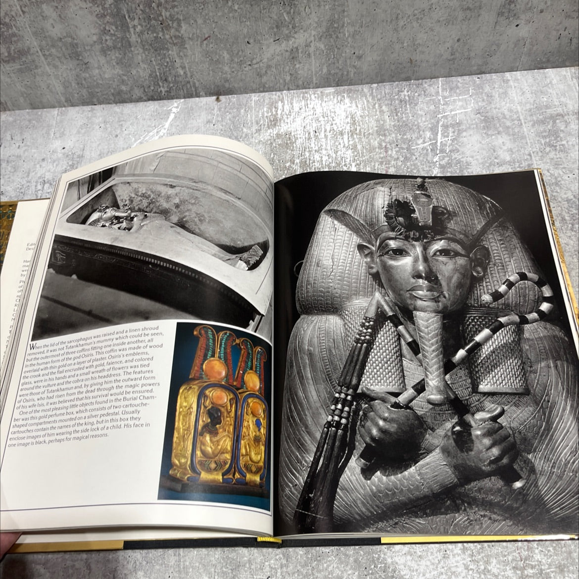 tutankhamun: his tomb and its treasures book, by i.e.s. edwards, 1977 Hardcover image 4