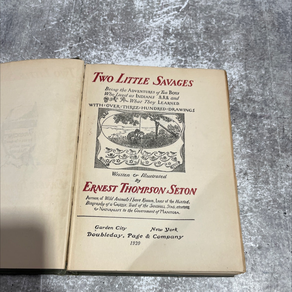 two little savages being the adventures of two boys who lived as indians and what they learned book, by ernest thompson image 2
