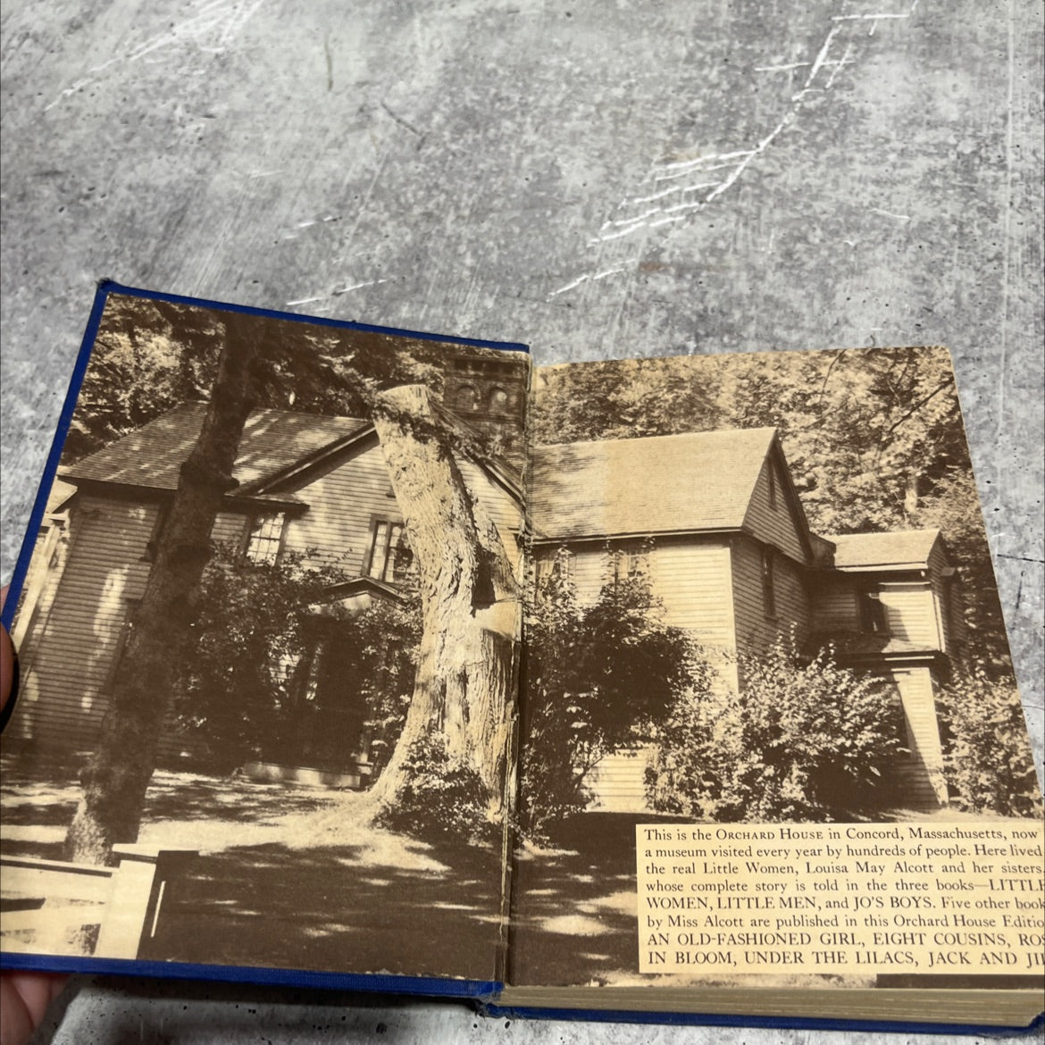 under the lilacs book, by louisa m. alcott, 1928 Hardcover image 4