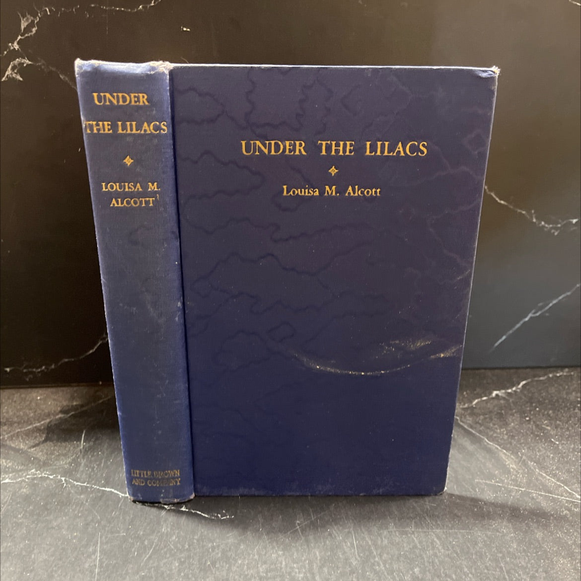 under the lilacs book, by louisa m. alcott, 1934 Hardcover image 1
