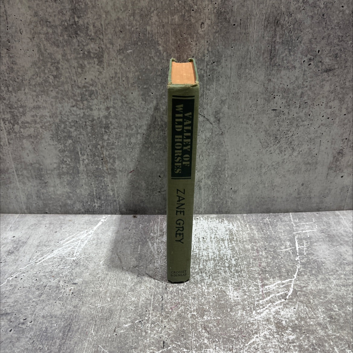 valley of wild horses book, by zane grey, 1927 Hardcover image 4