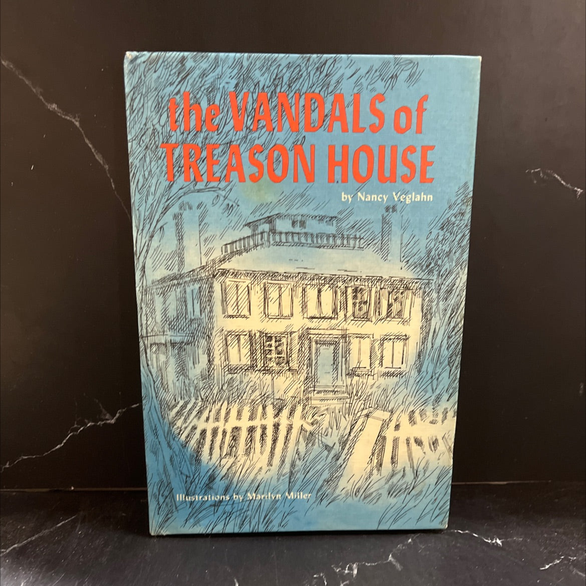 vandals of treason house book, by Nancy Veglahn, 1974 Hardcover image 1
