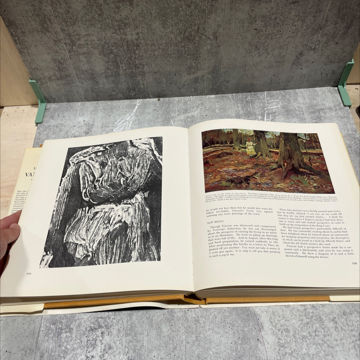 vincent van gogh book, by marc edo tralbout, 1969 Hardcover image 4