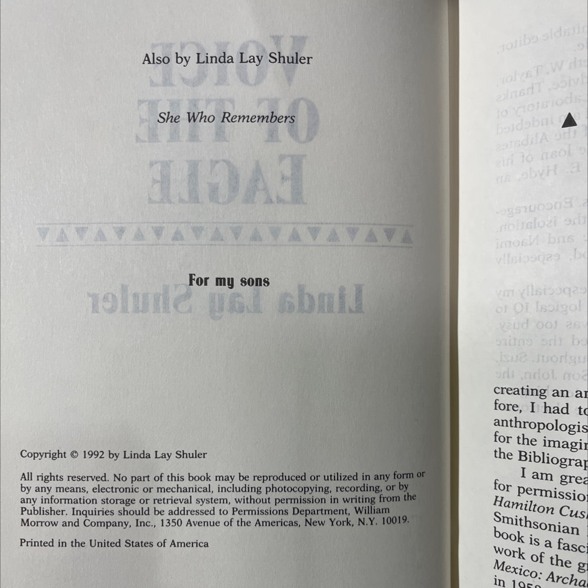 voice of the eagle book, by linda lay shuler, 1992 Hardcover image 3