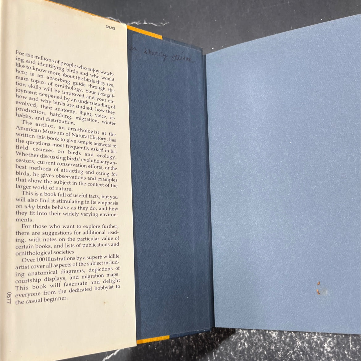 watching birds an introduction to ornithology book, by Roger F. Pasquier, 1977 Hardcover image 4