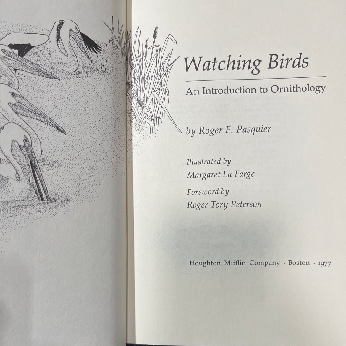 watching birds an introduction to ornithology book, by Roger F. Pasquier, 1977 Hardcover image 2