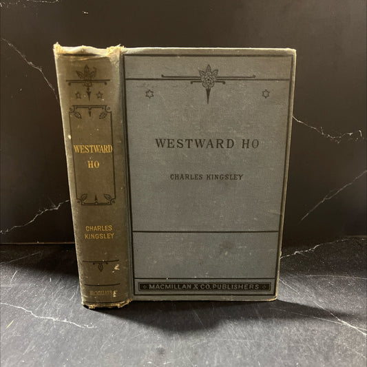 westward ho! or the voyages and adventures of sir amyas leigh, knight, of burrough, in the county of devon, in the image 1