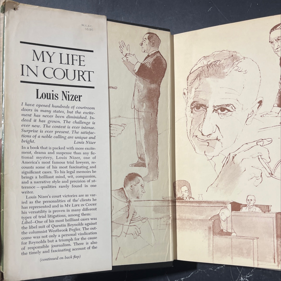 what to do with germany book, by louis nizer, 1961 Hardcover image 4