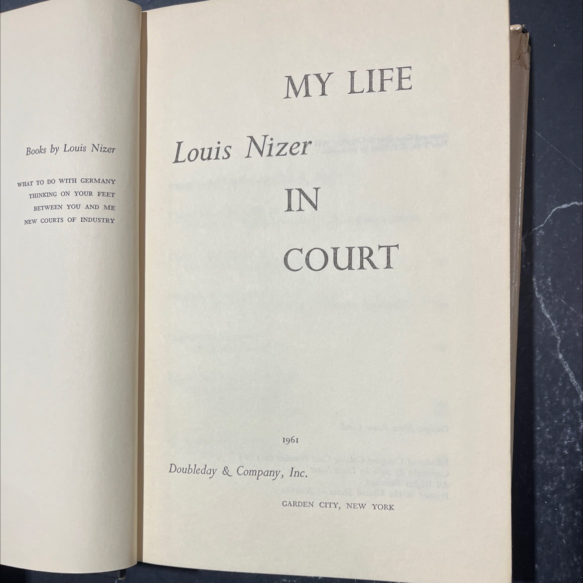 what to do with germany book, by louis nizer, 1961 Hardcover image 2