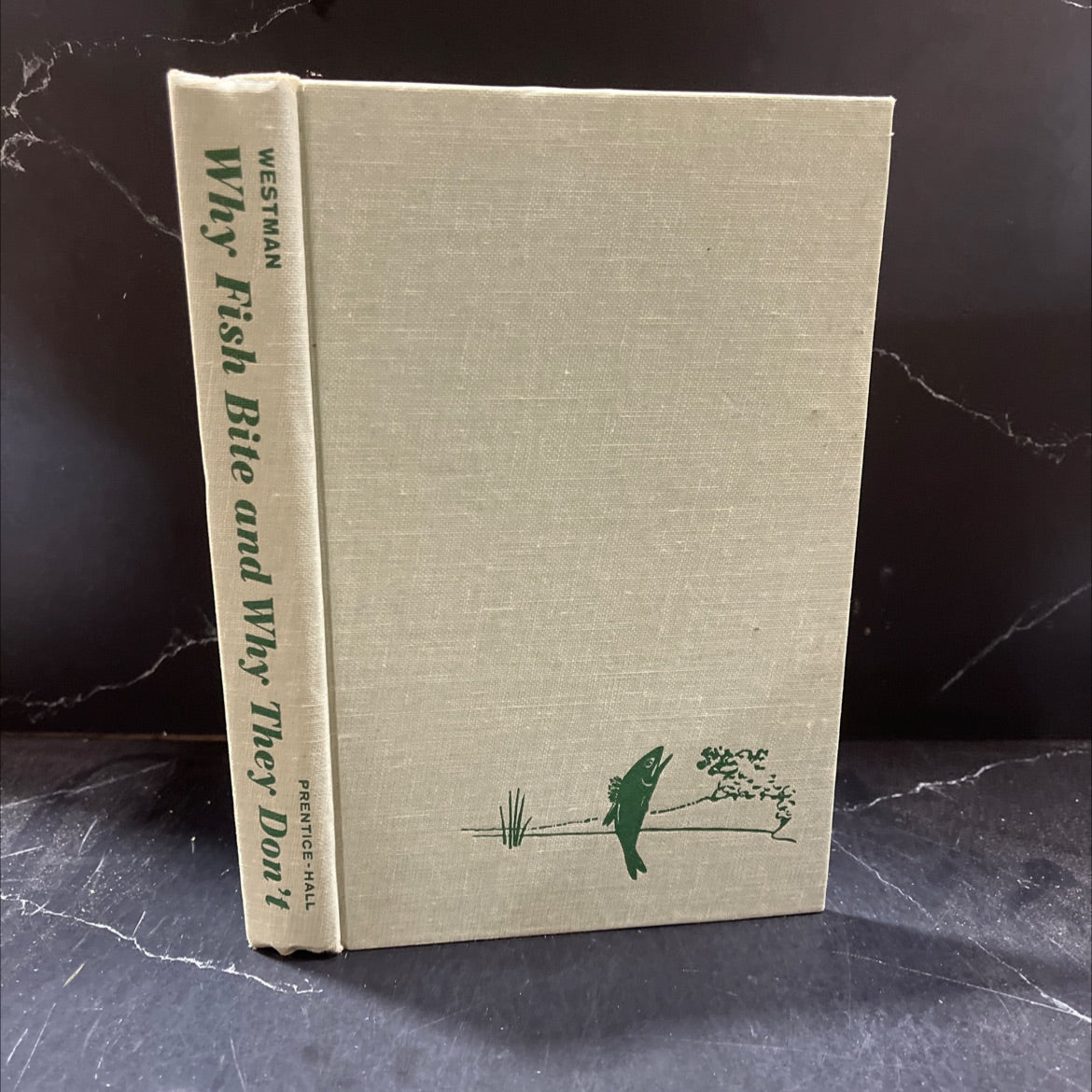why fish bite and why they don't book, by James Westman, 1966 Hardcover image 1