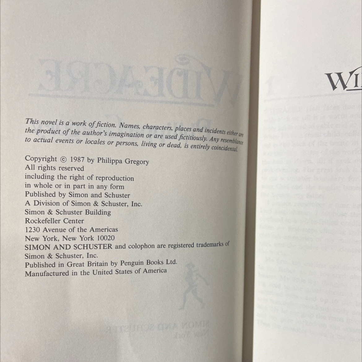 wideacre book, by philippa gregory, 1987 Hardcover image 3