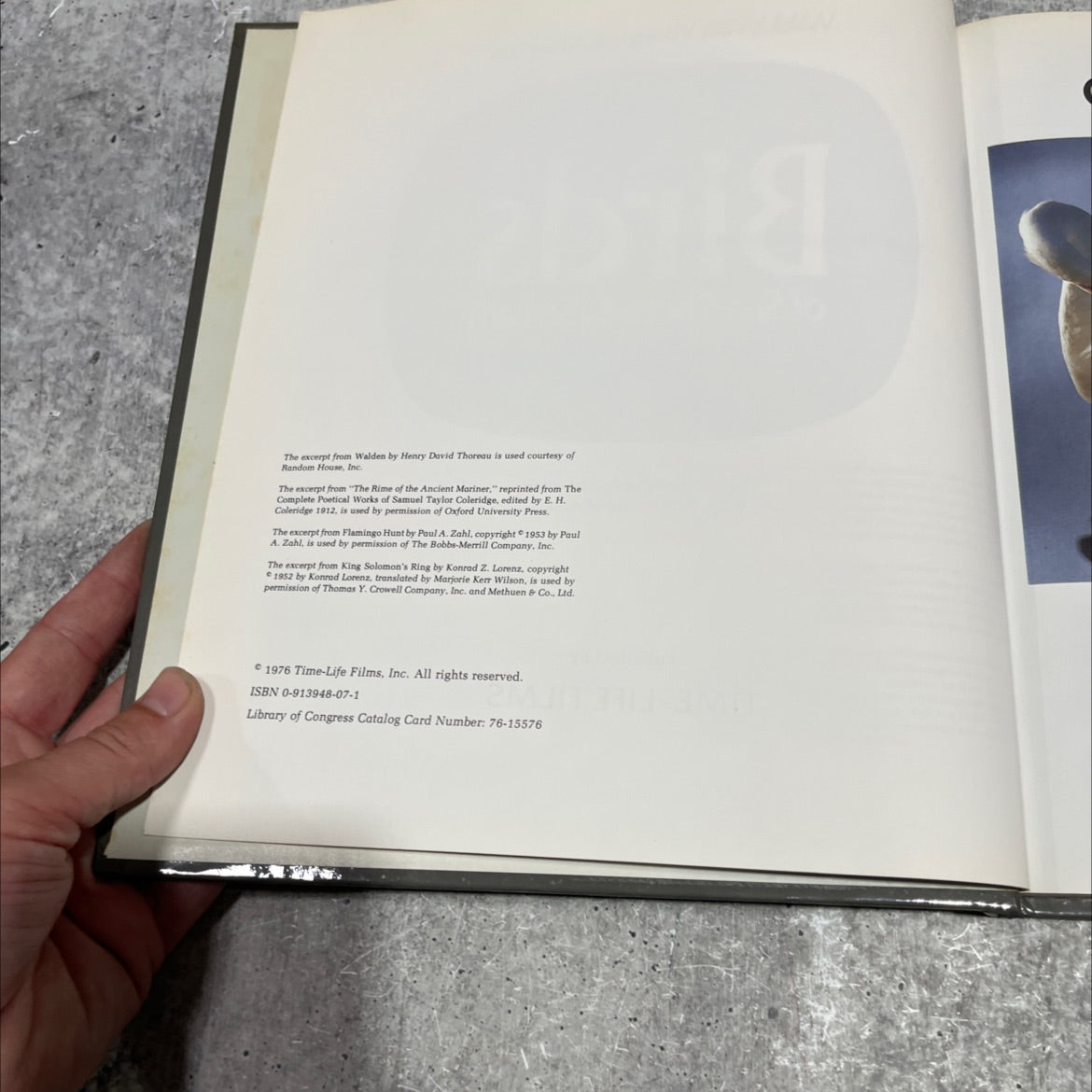 wild, wild world of animals birds of sea, shore & stream book, by unknown, 1976 Hardcover image 3