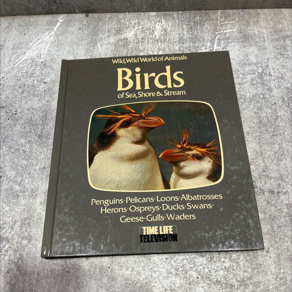 wild, wild world of animals birds of sea, shore & stream book, by unknown, 1976 Hardcover image 1