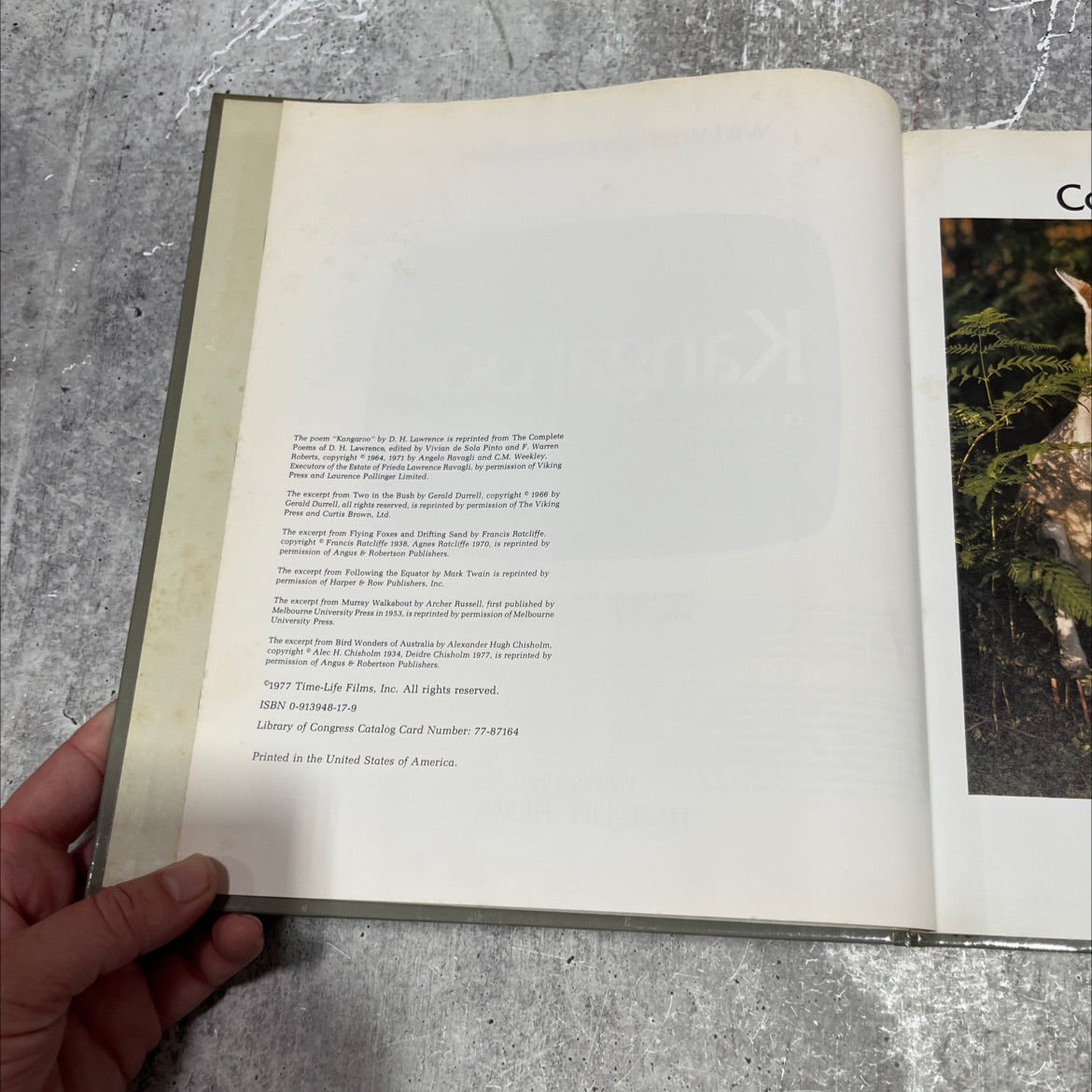 wild, wild world of animals kangaroos & other creatures from down under book, by unknown, 1977 Hardcover image 3