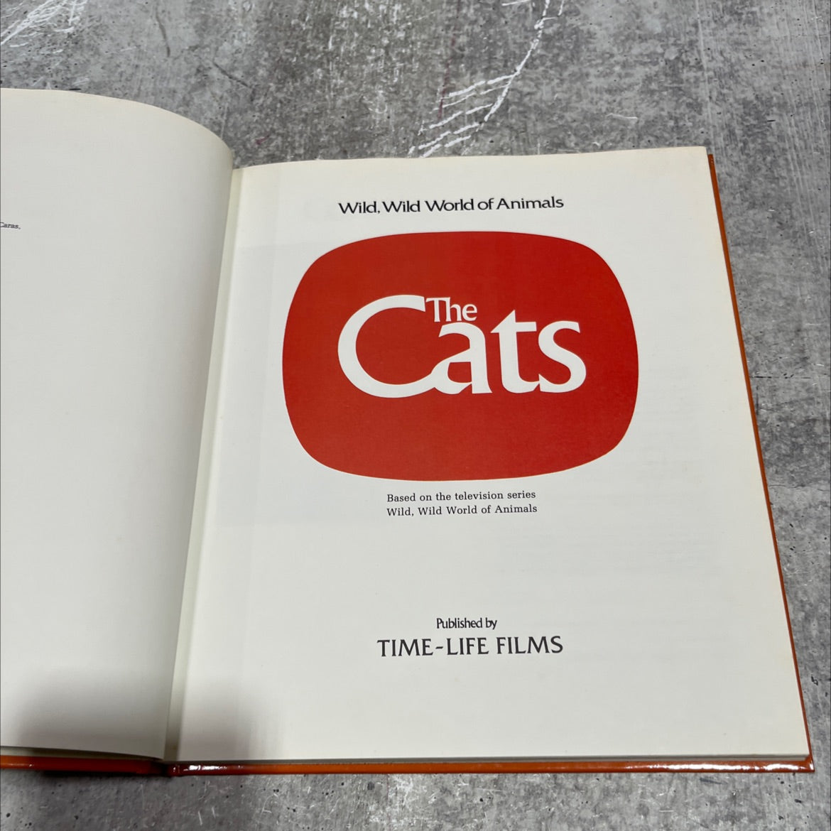 wild, wild world of animals the cats book, by Maitland A. Edey, 1976 Hardcover image 2