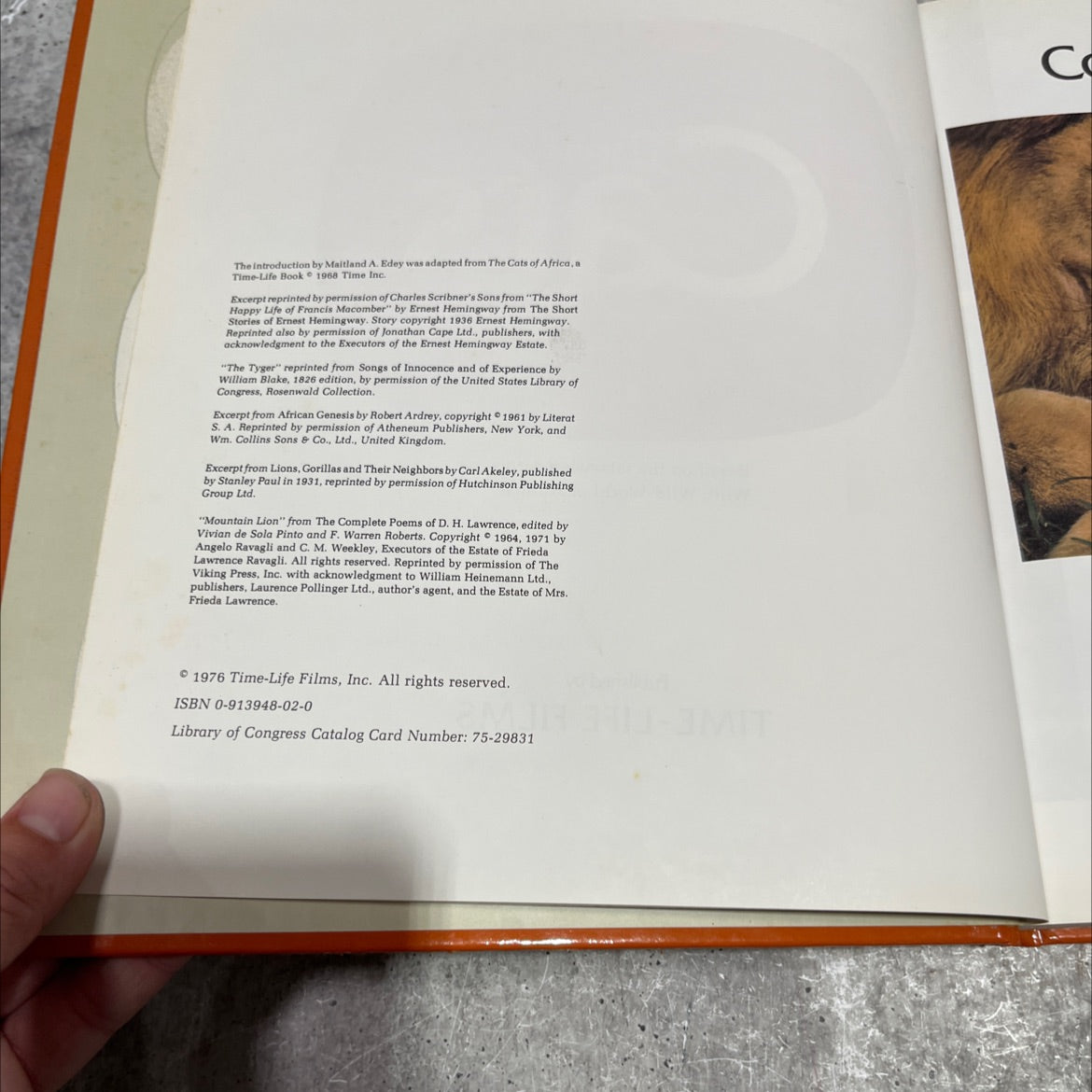 wild, wild world of animals the cats book, by Maitland A. Edey, 1976 Hardcover image 3